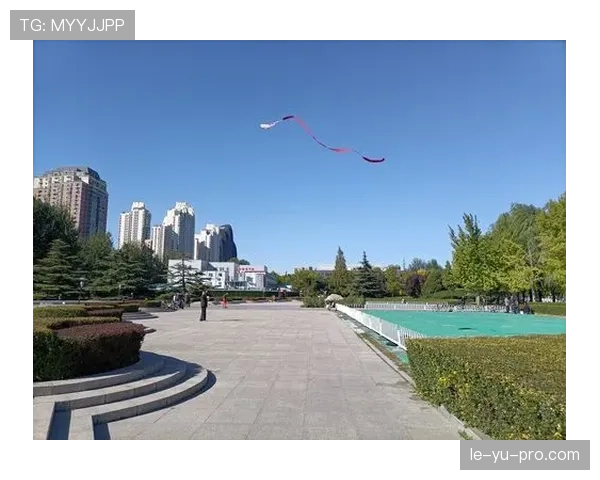 奥原希望因故缺席巴黎奥运会，日本羽坛迎来新挑战